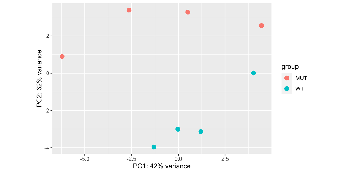 Bulk RNA-seq (6): Normalization and PCA Visualization in RNA-seq Data Analysis with DESeq2