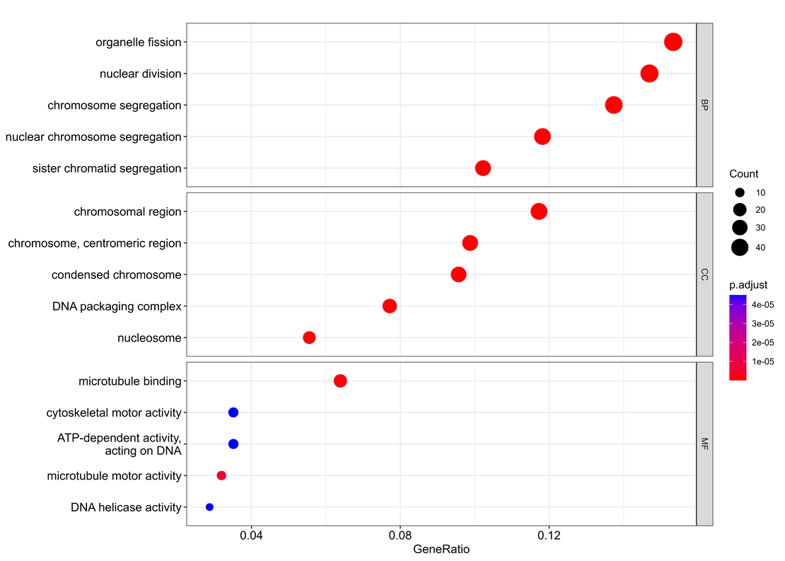 Bulk RNA-seq (9): Gene Ontology Analysis of Differential Expression