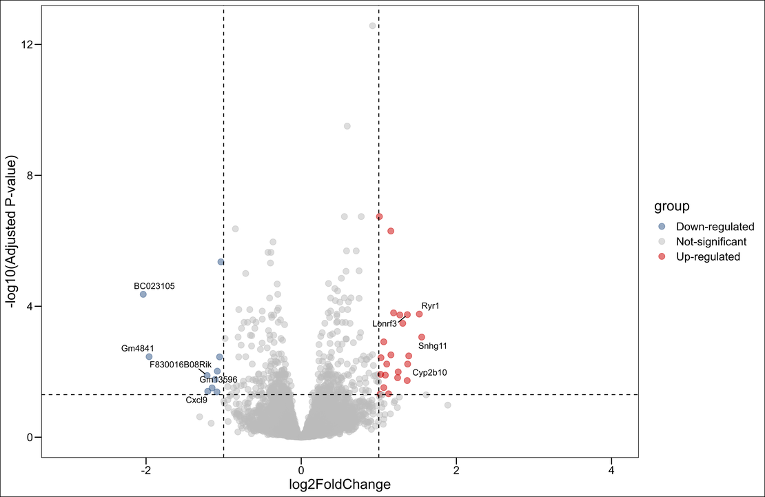 Bulk RNA-seq (8): Differential Analysis and Volcano Plotting with DESeq2